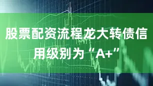 股票配资流程龙大转债信用级别为“A+”