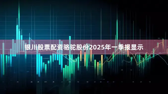 银川股票配资骆驼股份2025年一季报显示