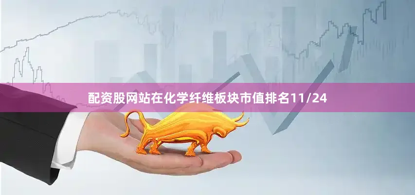 配资股网站在化学纤维板块市值排名11/24