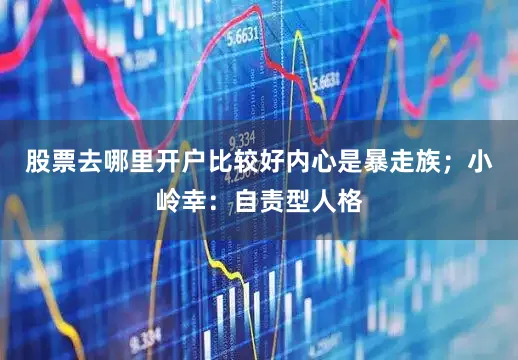 股票去哪里开户比较好内心是暴走族；小岭幸：自责型人格